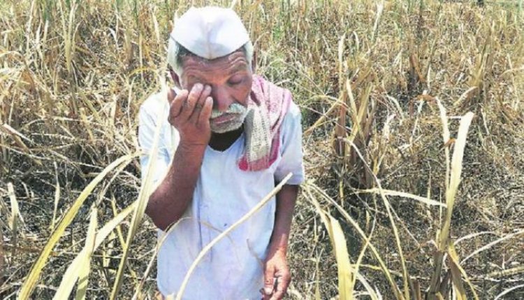 मोठी बातमी.! भूविकास बँकेची मालमत्ता होणार सरकारजमा, तर ३५ हजार शेतकऱ्यांचे कर्ज माफ?