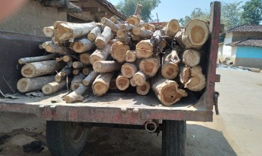 वनविभागाचे उपवनसंरक्षक सागवन तस्करांचे पाठीराखे, वन अधिकारी व कर्मचारी गस्तीवर असतांनी त्यांचे जवळील हेम्बर व पिवार पुस्तीका तस्करांच्या स्वाधीन...!