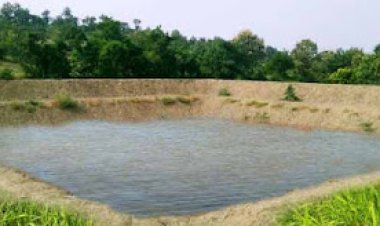 सोलापूर मध्ये शेततळे योजना पुन्हा सुरू, शेतकऱ्यांनो करा याठिकाणी अर्ज अनुदान ७५ हजार...!