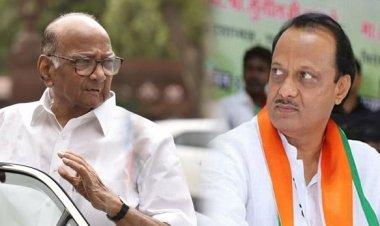 मला राजकीय प्रश्न विचारू नका, पोटनिवडणुकीबाबत शरद पवारांचं मोठं वक्तव्य.! अजित पवारांच्या खांद्यावर जबाबदारी...