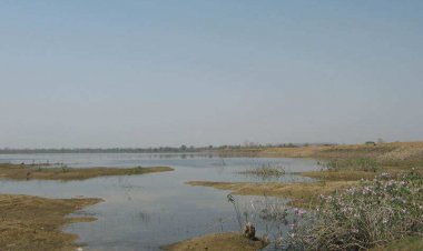 झाशीनगर उपसा सिंचन चे पितळ उघडे.! अधिकारांच्या संगनमताने कंत्राटदाराकडून निकृष्ट दर्जाचे काम...