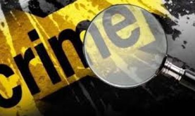 महिंद्रा लॉजेस्टिक कंपनीच्या खंडणीखोर कामगारावर महाळुंगे एमआयडीसी पोलिस ठाण्यात गुन्हा दाखल..!