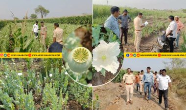 सहा शेतकर्‍यांकडून अफूची सामूहिक शेती.! पोलीसांकडून चौघांना अटक, तर कोटीचा मुद्देमाल जप्त...