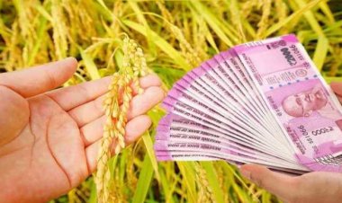 धान उत्पादक शेतकऱ्यांना लवकरच बोनसची रक्कम मिळणार...