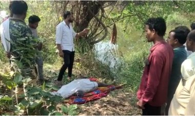 मासोळ्या पकडण्यासाठी गेलेल्या युवकाचा; शॉक लागून मृत्यू...