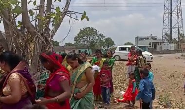 दिंडोरी परिसरात वटसावित्री पौर्णिमा उत्साहात साजरी...