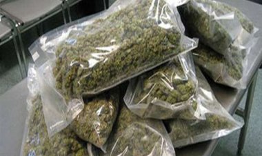 महाळुंगे एमआयडीसी पोलिस ठाण्याच्या पोलिसांनी वासुली फाटा येथे १० किलो गांजा पकडला....!