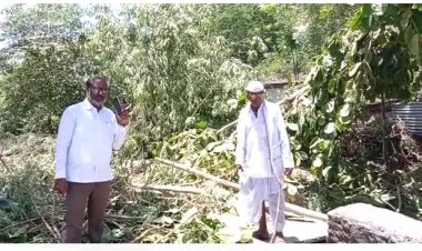 शिवपुर येथे वादळी वारा आणि पाऊसामुळे घरांचे नुकसान तर अन्नधान्याची नासाडी...