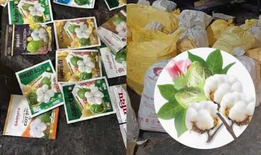 सावधान.! गुजरातमधून महाराष्ट्रात बनावट कपाशी बियाण दाखल, लाखोचे बियाणे जप्त...