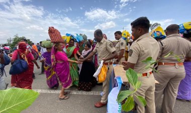 महसूल आणि वन विभागातर्फे पालखी विसाव्याच्या ठिकाणी रोपांचे वाटप...