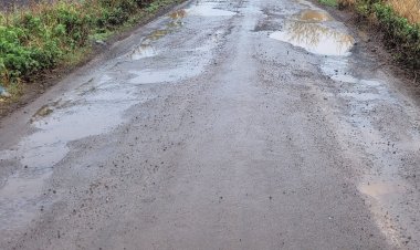 चाकण-आळंदी रस्त्यावर असलेल्या माजगावफाटा ते माजगाव रस्त्या बनतोय मृत्युचा सापळा..!