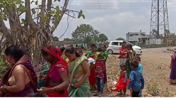 दिंडोरी परिसरात वटसावित्री पौर्णिमा उत्साहात साजरी...