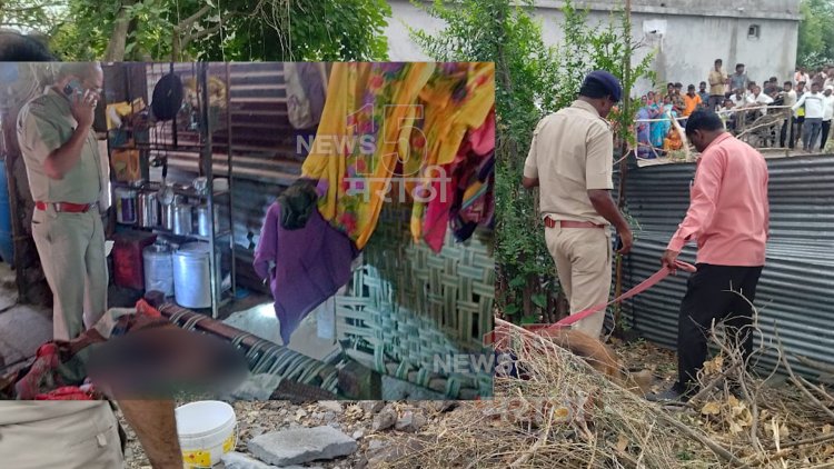 धक्कादायक घटना.! झोपेत असलेल्या महिलेच्या गळा आणि छातीवर वार'करून  हत्या...