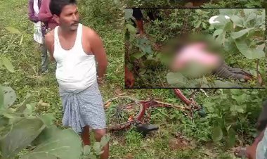 तिरोडा तालुक्यातील चांदोरी येथे, झूडपात आढळला 40 वर्षीय व्यक्तीचा मृतदेह...