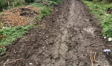 दलित वस्तीच्या विकास कामाकडे, जाणून बुजून दुर्लक्ष...