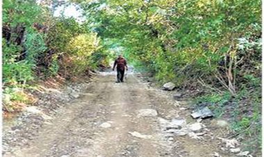 गावातील काही येड्या बिरूदानी मोजणीचा घाट घातला, साऱ्या गावात पोळा माजवला...!