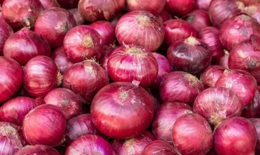 सरकारने निर्यात कर लावल्याने, कांदा लिलाव आजही बंद.! तर प्रशासनाकडून परवाने रद्द करण्याचा इशारा...