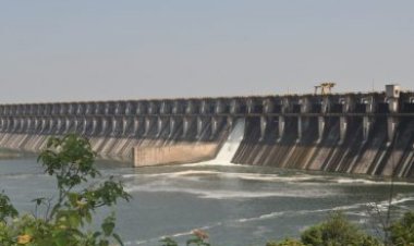 उजनी धरणातून, पंढरपूर आणि  सोलापूरसाठी सप्टेंबर'ला पाणी सोडणार... मात्र पिकांना पाणी नाही...