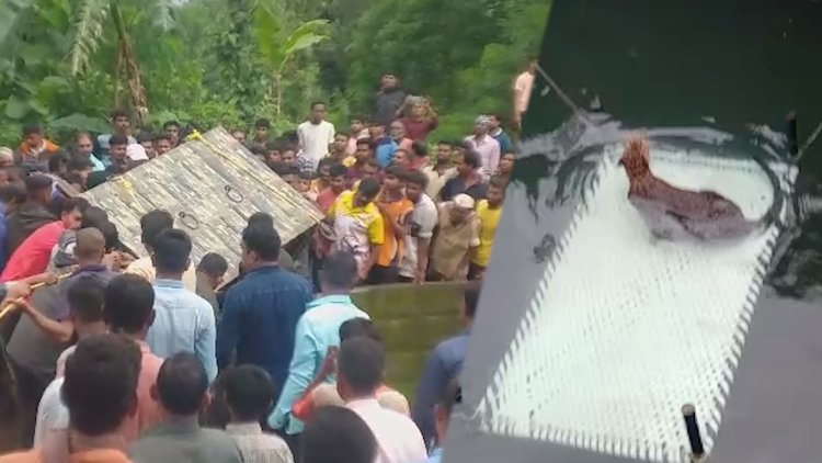 भक्ष्याच्या शोधार्थ बिबट्या पडला विहरीत.! तर बिबट्याला पाहण्यासाठी नागरिकांची गर्दी...