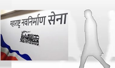 पक्षाने संधी दिली तर; मनसेचा पहिला खासदार मीच असेल.! पहा कोणी केला दावा...