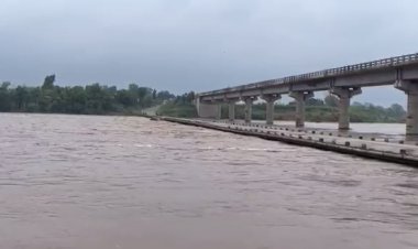 गोंदिया जिल्ह्यात पावसाची दमदार हजेरी, तर नदी - नाले लागले ओसंडून वाहू...