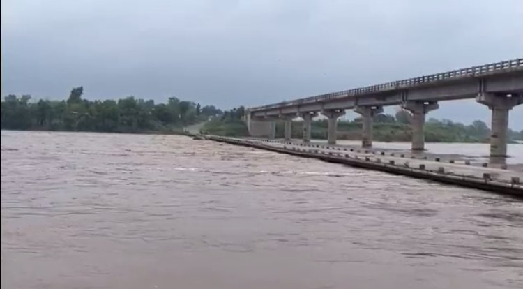 गोंदिया जिल्ह्यात पावसाची दमदार हजेरी, तर नदी - नाले लागले ओसंडून वाहू...