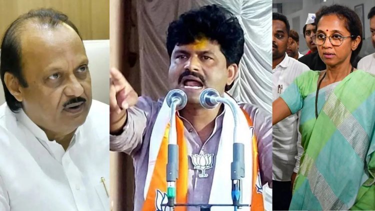 अजित पवार लबाड लांडग्याचं लबाड पिल्लू.! आमदार गोपीचंद पडळकरांची उपमुख्यमंत्र्यांवर खालच्या भाषेत टीका...