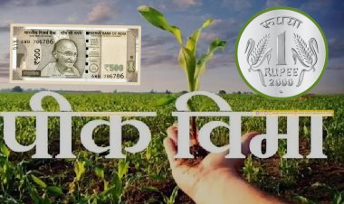 शासन म्हणतो 1 रुपयात पीक विमा.! मात्र शेतकऱ्यांनी मोजले 500 रुपये? पीक विमा कंपनीकडून शेतकऱ्यांची लूट...