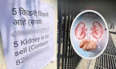 जिल्ह्यात चाललंय काय? चक्क जिल्हाधिकारी कार्यालयाच्या भिंतीवर 5 किडनी विकण्याची जाहिरात...