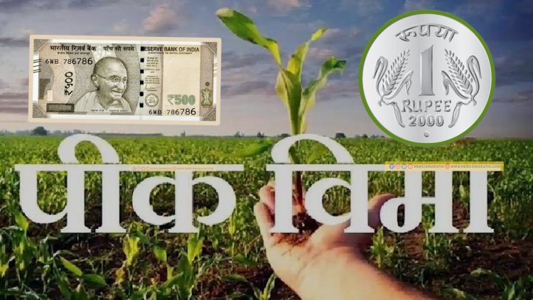शासन म्हणतो 1 रुपयात पीक विमा.! मात्र शेतकऱ्यांनी मोजले 500 रुपये? पीक विमा कंपनीकडून शेतकऱ्यांची लूट...