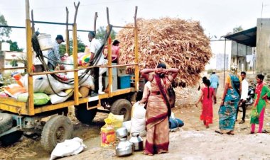 गळीत हंगामाची सुरुवात होताच; ऊसतोड मजूरांची कारखान्यांच्या दिशेने वाटचाल...