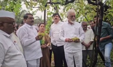 पालकमंत्री दादा भुसे यांच्याकडून नुकसानग्रस्त भागाची पाहणी...