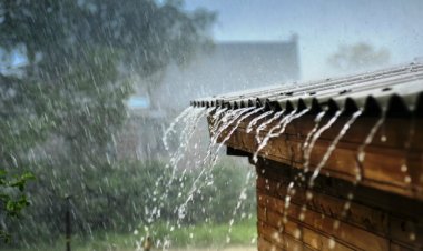 राज्यावर अवकाळी संकट? मराठवाडा / विदर्भातील 'या' जिल्ह्यांमध्ये आजही पावसाचा इशारा...