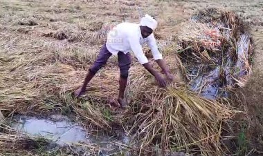 अवकाळी पावसामुळे शेतकरी संकटात.! शेतात साचले पाणीच पाणी...