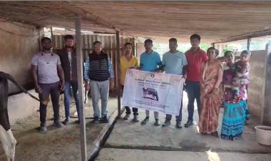 वरवंडी येथे पशु वंध्यत्व शिबिर संपन्न...