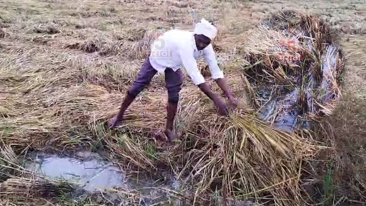 अवकाळी पावसामुळे शेतकरी संकटात.! शेतात साचले पाणीच पाणी...