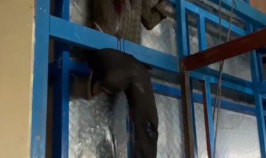 BIG BREAKING : खराबवाडी गावातील वाघजाईनगरला दिक्षा एक्स्पोर्ट कंपनीत लिफ्टमध्ये अडकून एकाच दुर्दैवी मृत्यू..