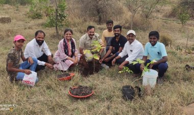 कोराटे येथे वनपाल काळे यांच्या वाढदिवसानिमित्ताने वृक्षारोपण...