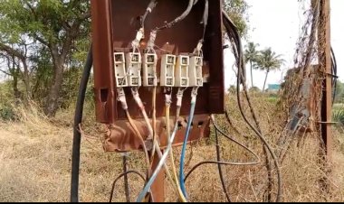 महावितरणचा अनागोंदी कारभारामुळे शेतकऱ्यांचे आतोनात नुकसान.! शेतकऱ्यांनी दिला आंदोलनाचा इशारा...