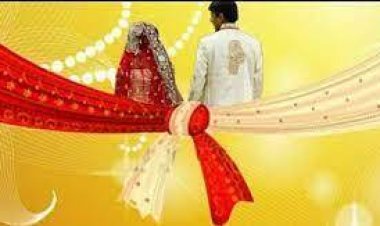 महामानव भरतरत्न डॉ. बाबासाहेब आंबेडकर जयंतीनिमित्ताने वधू वर महामेळावा - शाम गवारे