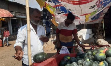 कडक उन्हाळा सुरू होताचं ग्राहकांची कलिंगडला पसंती, दिंडोरी बाजारपेठेत कलिंगडांची उच्चाकी विक्री...!