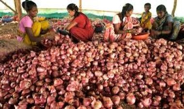 सोशल मिडीयाव्दारे कांदा उत्पादकांना इशारा; शेतकर्‍यांमध्ये संताप...