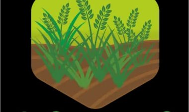 ३० एप्रिल पर्यंत ई-पिक पाहणी पूर्ण करावी: जिल्हाधिकारी