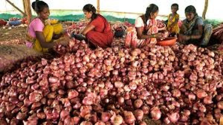 सोशल मिडीयाव्दारे कांदा उत्पादकांना इशारा; शेतकर्‍यांमध्ये संताप...