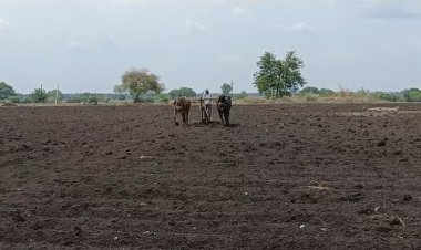 जिल्ह्यात मान्सूनपूर्व मशागतीच्या कामांना वेग