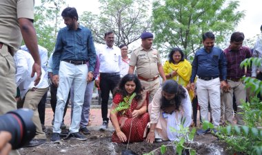 वृक्ष लागवड मोहिमेत प्रत्येक नागरिकाने सहभागी होवून योगदान द्यावे; जिल्हा प्रशासनाचे आवाहन...