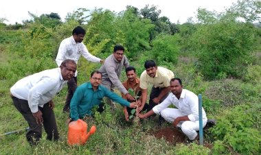 मोहाडी येथे बच्चू कडू यांच्या वाढदिवसानिमित्त प्रहार दिव्यांग संघटनेकडून वृक्षारोपण...