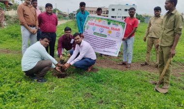 दिंडोरी नगरपंचायतच्या वतीने वृक्षारोपण...
