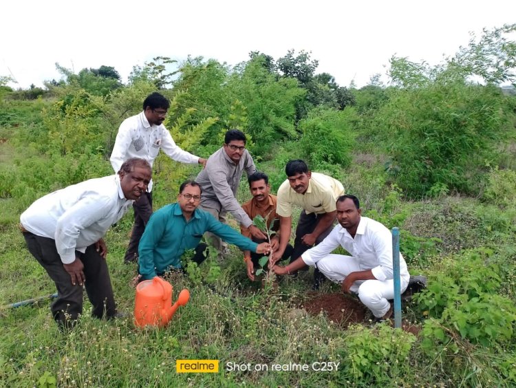 मोहाडी येथे बच्चू कडू यांच्या वाढदिवसानिमित्त प्रहार दिव्यांग संघटनेकडून वृक्षारोपण...