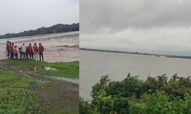 पश्चिम भागातील दमदार पावसामुळे पालखेड धरण ८० टक्के